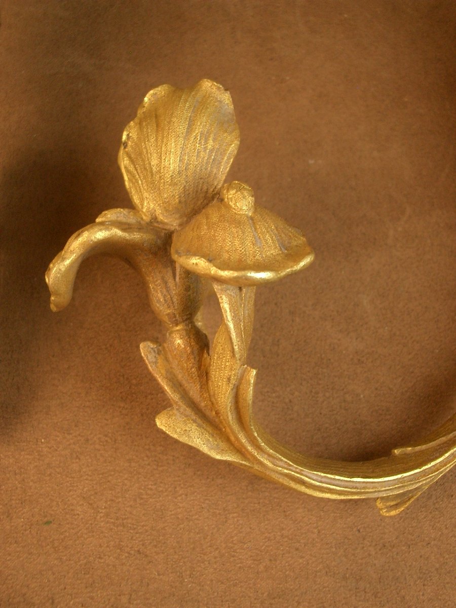 Pair Of Art Nouveau Bronze Curtain Tiebacks Decorated With Irises-photo-8