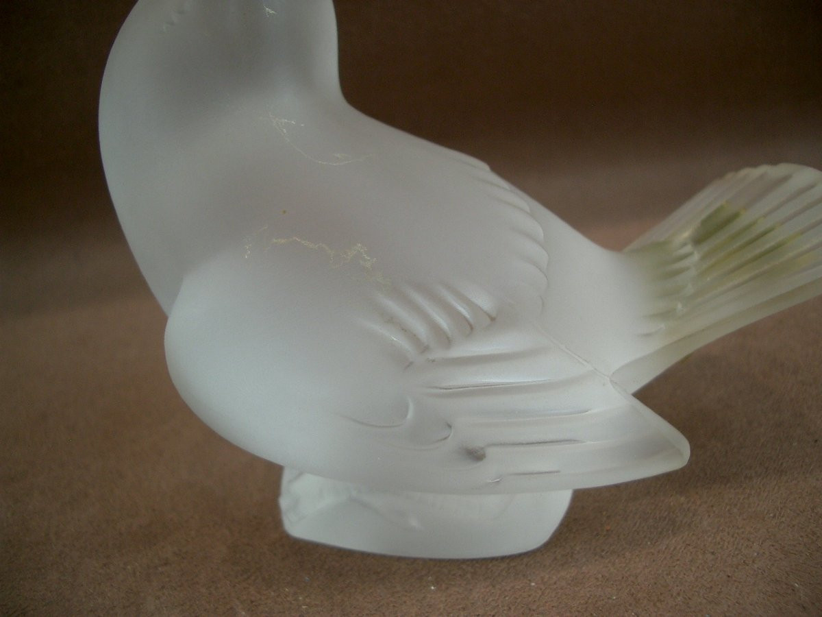 Oiseau moineau en cristal dépoli signé Lalique-photo-5