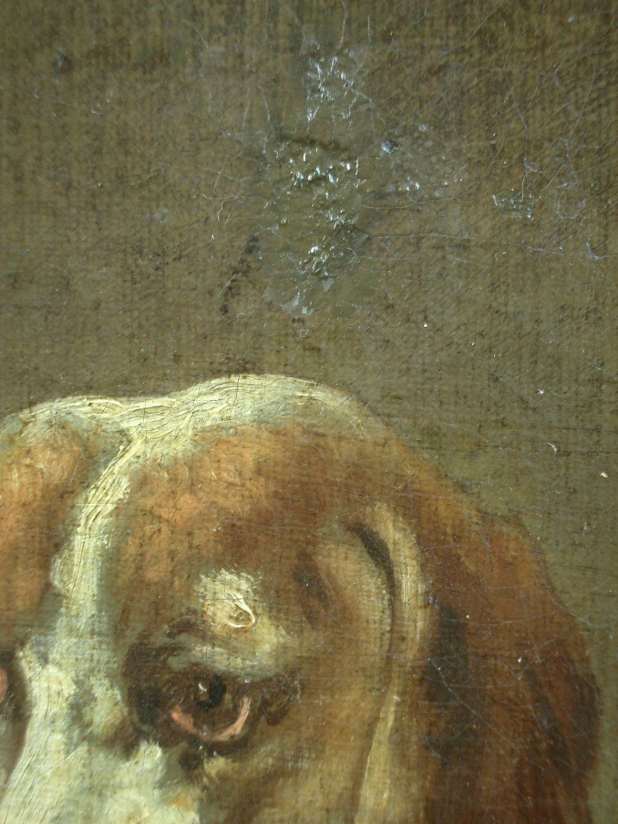 Huile sur toile, peinture du XIXe siècle, portrait de chien-photo-2