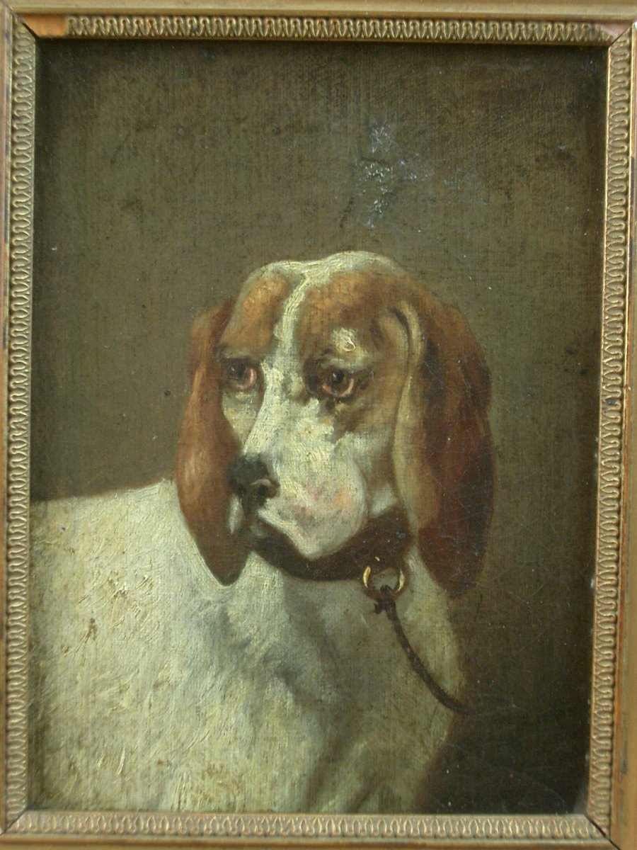 Huile sur toile, peinture du XIXe siècle, portrait de chien-photo-4