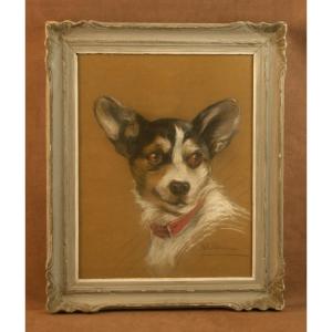 Pastel Drawing Portrait Of A Jack Russell Dog, Signed 