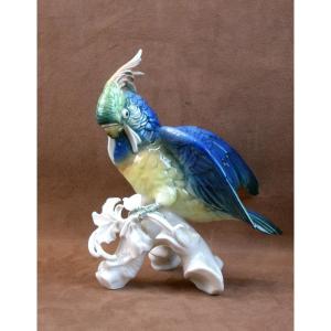 Important Saxon Porcelain Parrot Bird By Karl Ens
