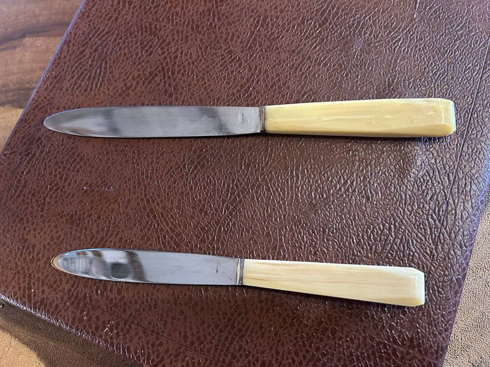 Set Of 24 Horn-handled Knives, 1950-photo-2