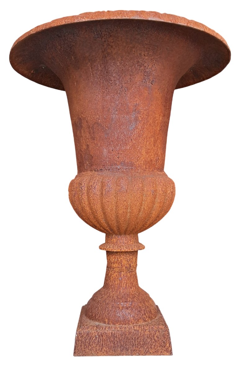 Paire de Vases Médicis en Fonte-photo-3