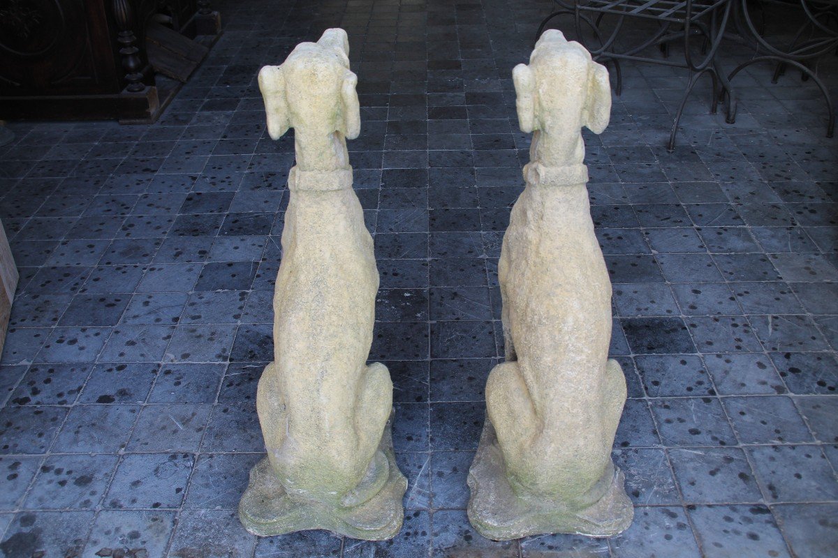 Greyhound In Reconstituted Stone-photo-2