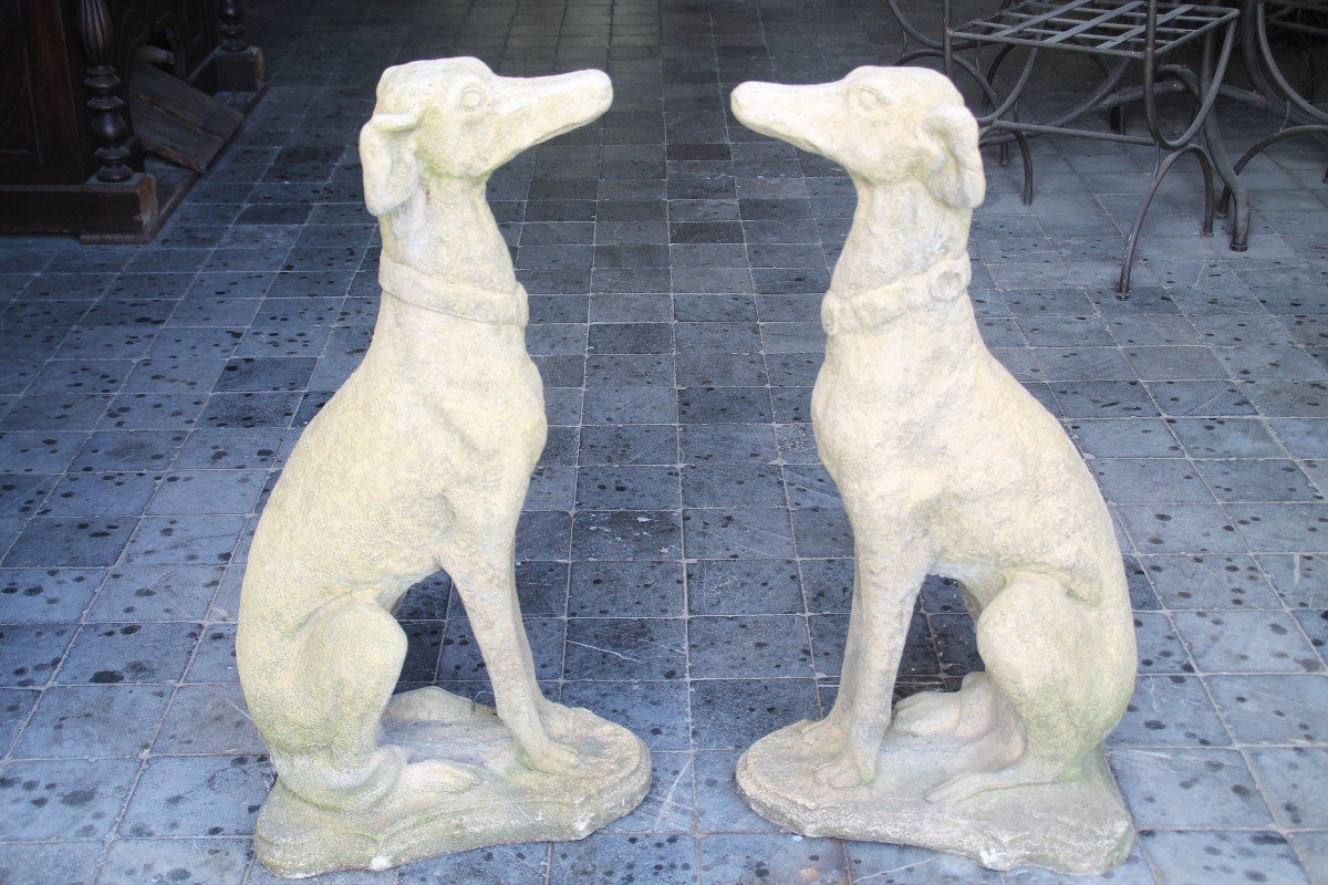 Greyhound In Reconstituted Stone-photo-4