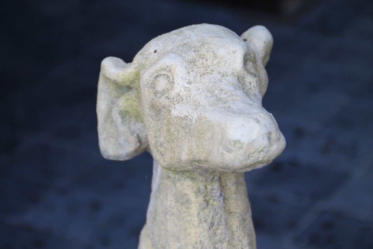 Greyhound In Reconstituted Stone-photo-2