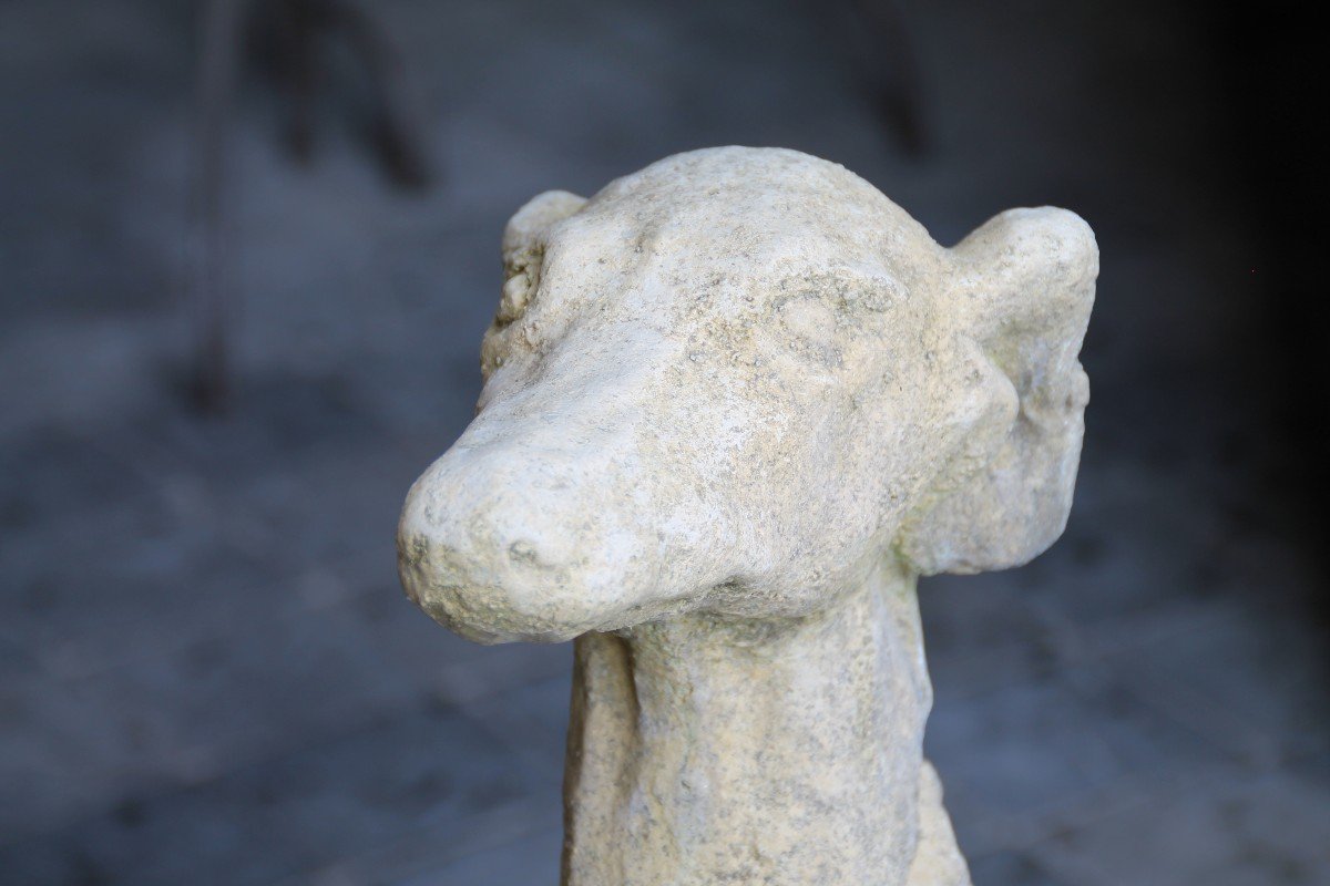 Greyhound In Reconstituted Stone-photo-3