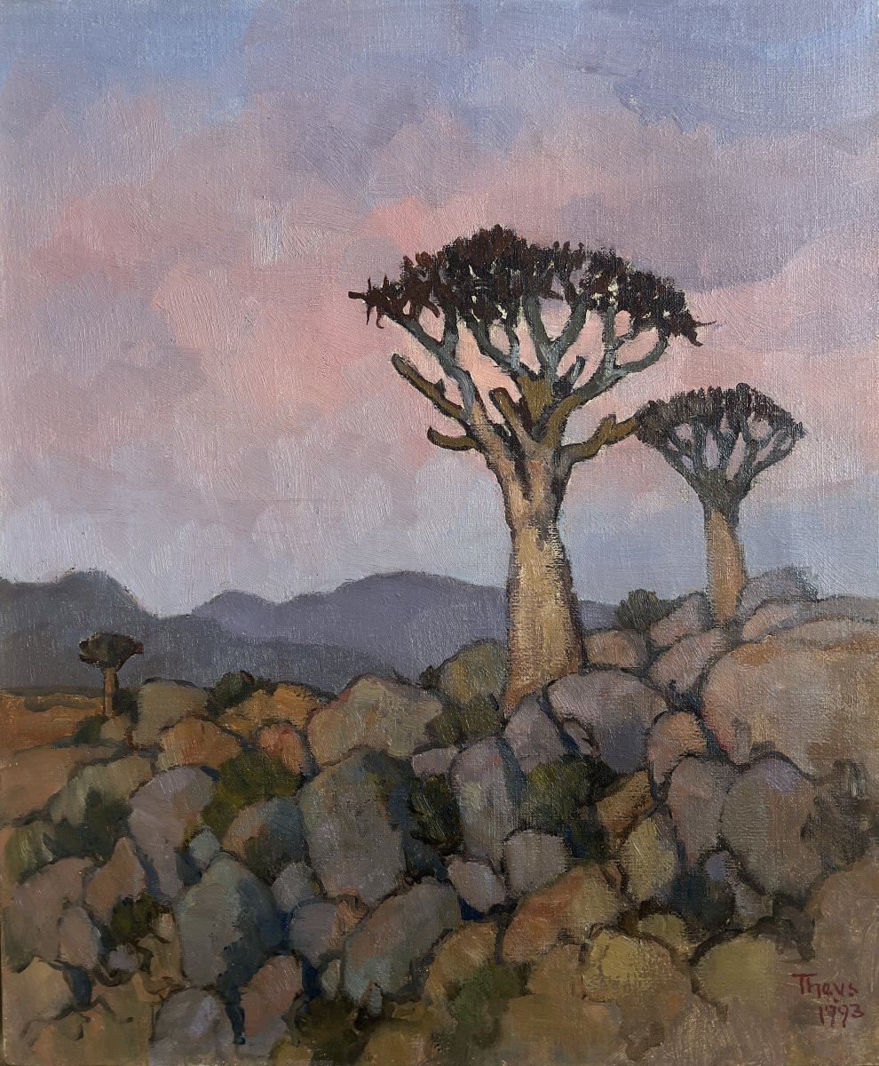 Conrad Theys (born In 1940) Twilight In Namaqualand South Africa Africanist-photo-2