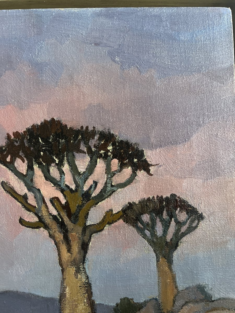 Conrad Theys (born In 1940) Twilight In Namaqualand South Africa Africanist-photo-1