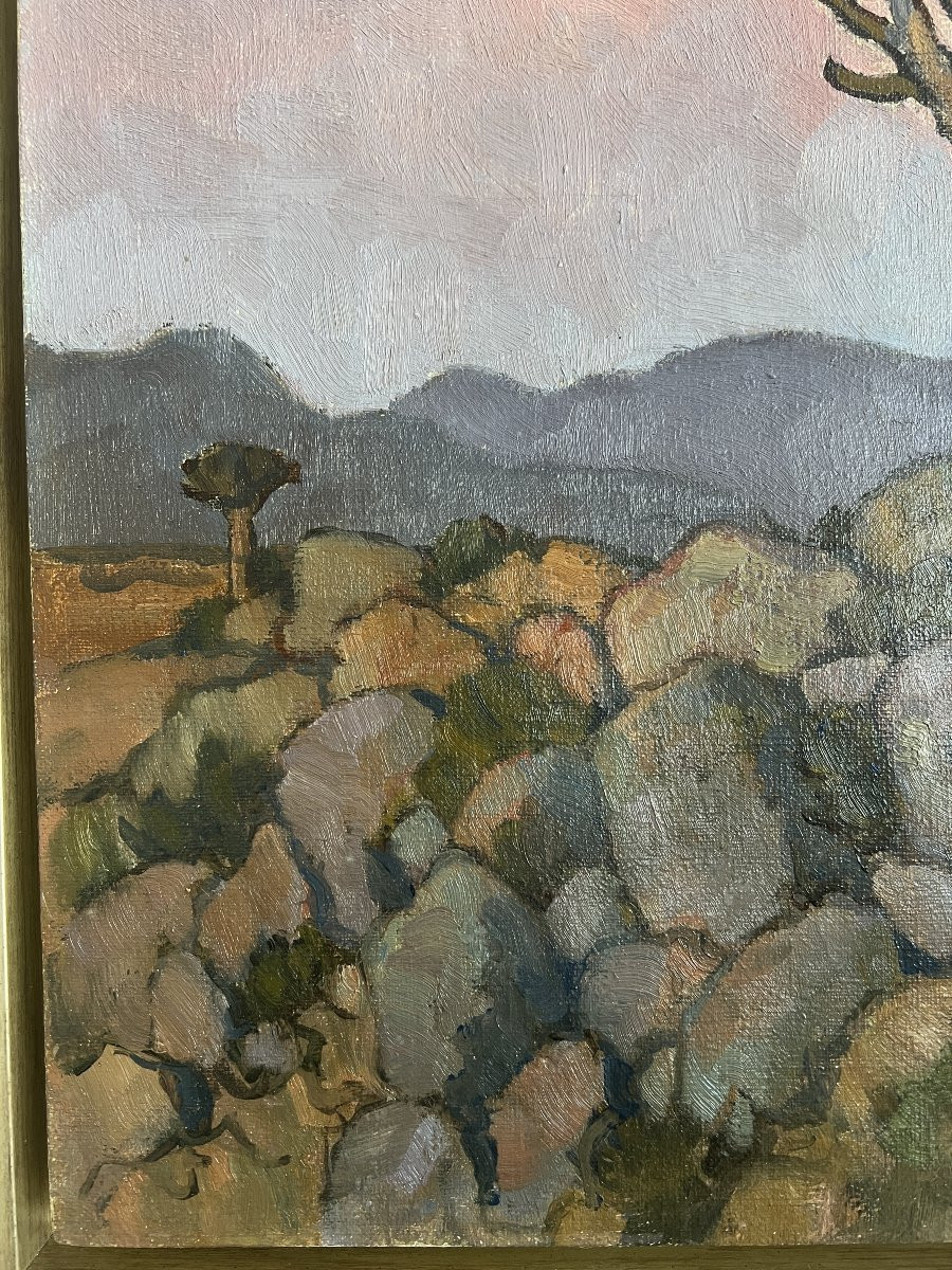 Conrad Theys (born In 1940) Twilight In Namaqualand South Africa Africanist-photo-2