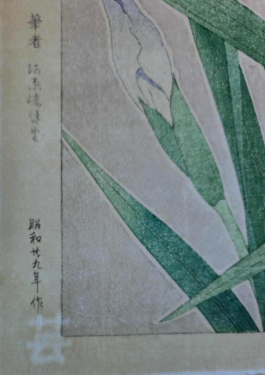 Shodo Kawarazaki (1889-1973) - Iris - Estampe japonaise - ukiyo-e -photo-3