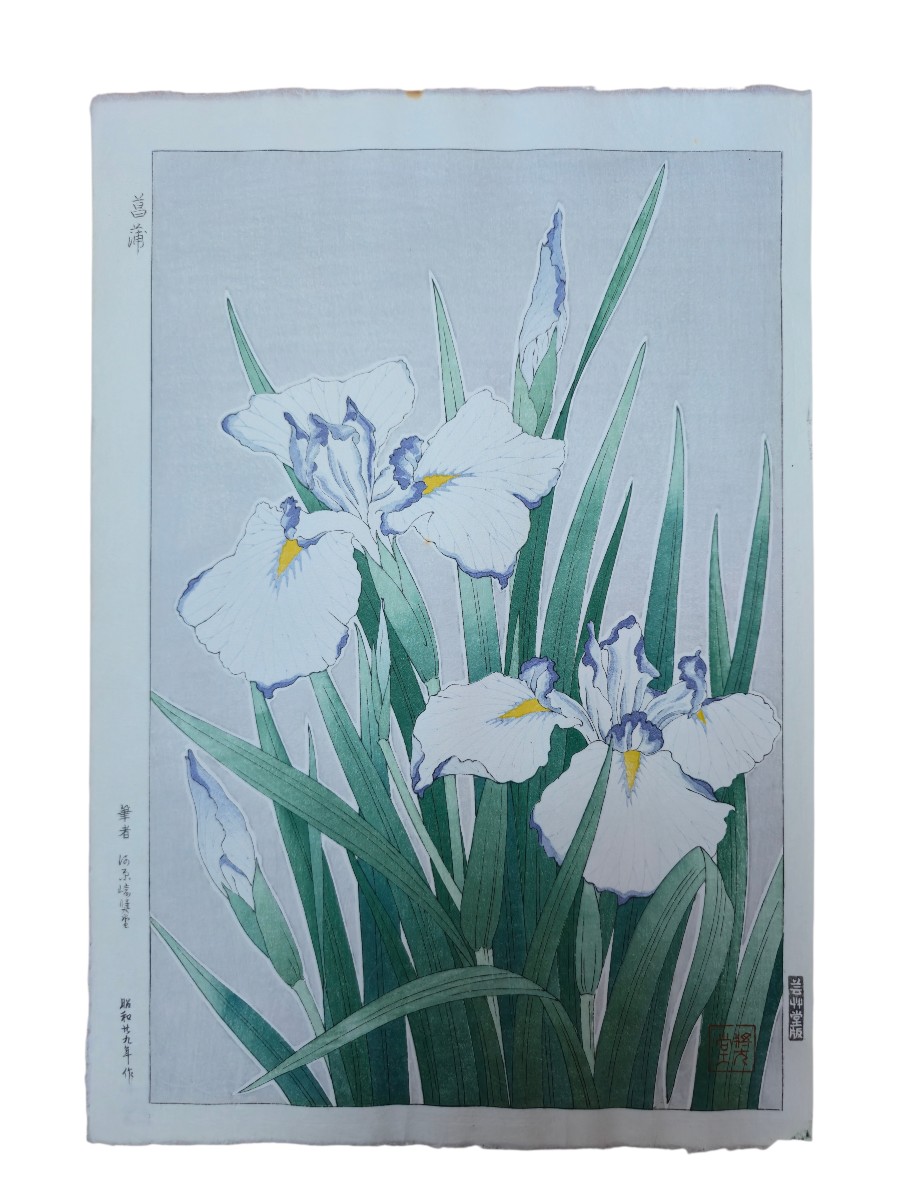 Shodo Kawarazaki (1889-1973) - Iris - Estampe japonaise - ukiyo-e 