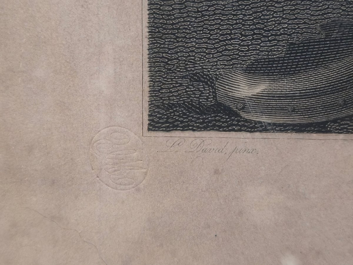 Jacques Louis David (1748-1825) - l'enlevement des Sabines - gravure cadre empire -photo-2