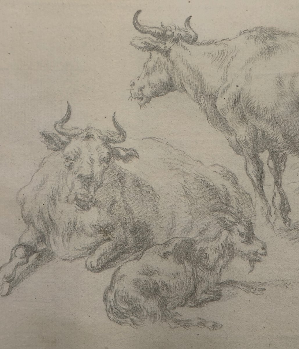 18th Century Drawing - Cows And Goats - Animalist Dutch Watermark School-photo-2
