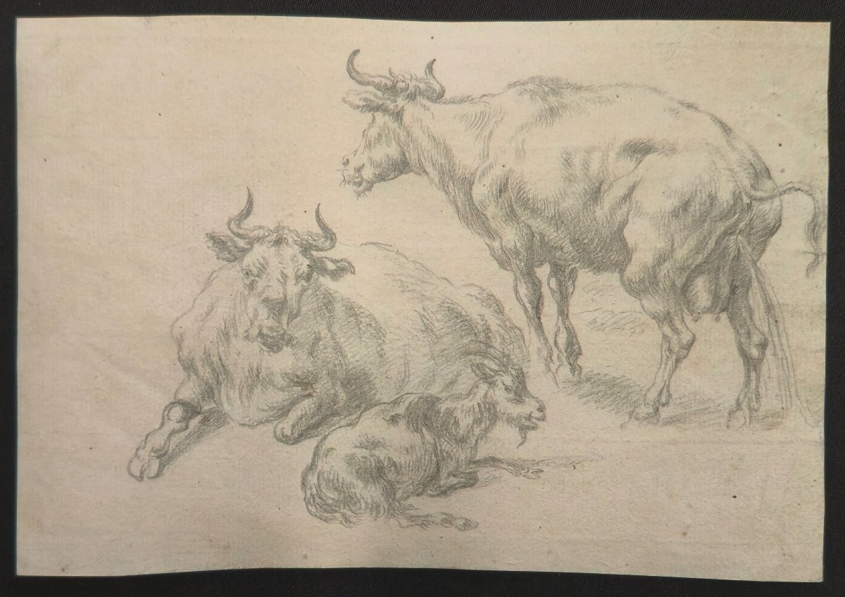 18th Century Drawing - Cows And Goats - Animalist Dutch Watermark School-photo-4