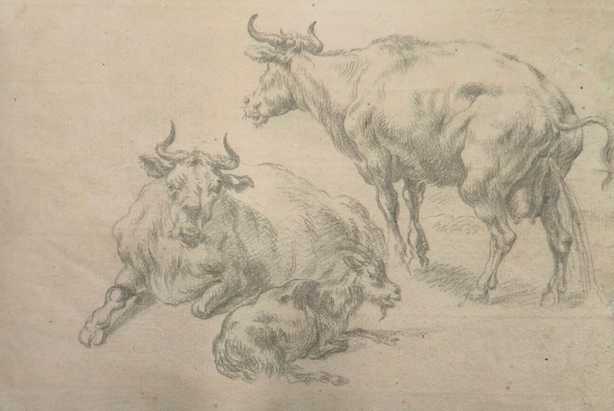 18th Century Drawing - Cows And Goats - Animalist Dutch Watermark School