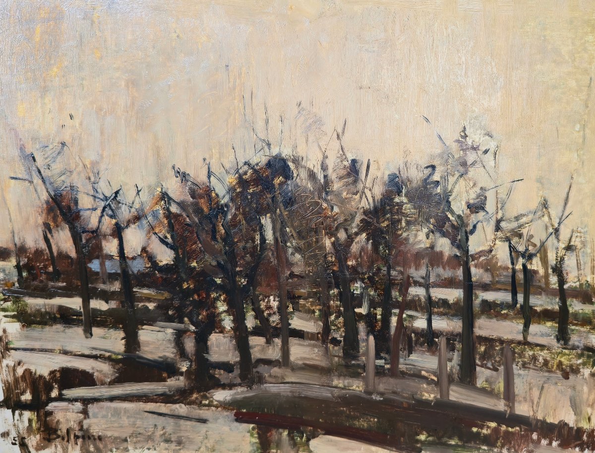Jacques Belpaire (1908-1960) - Wooded Landscape - Figurative Abstraction