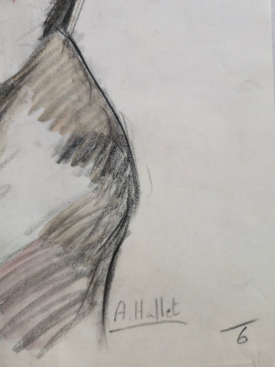 André Hallet (1890-1959) - Nude Study Of An African Woman N°2 - Watercolor-photo-3