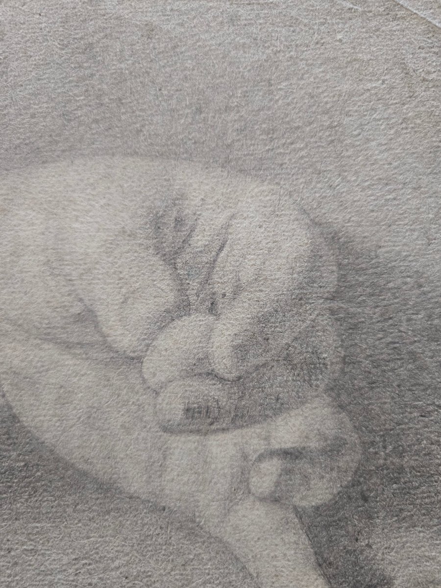 French School—anonymous—18th Century—xviii—1700—academic Study Of A Hand—laid Paper-photo-2