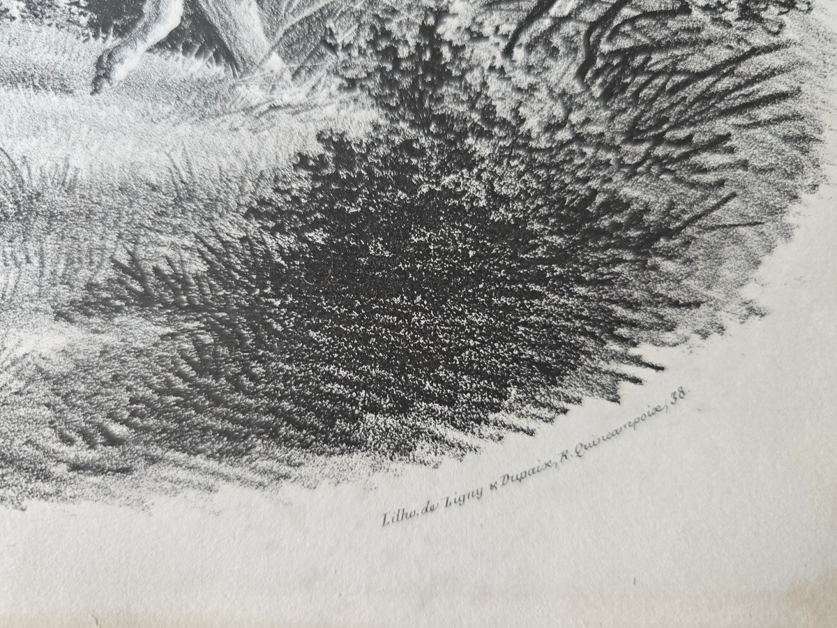 French School, Lithograph, Circa 1820, Hunting Dog, Pointer, Paris, Ligny, Dupaix-photo-3