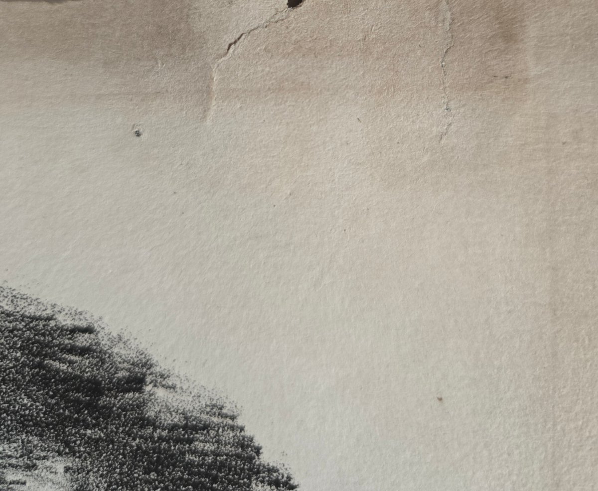 French School, Lithograph, Circa 1820, Hunting Dog, Pointer, Paris, Ligny, Dupaix-photo-4