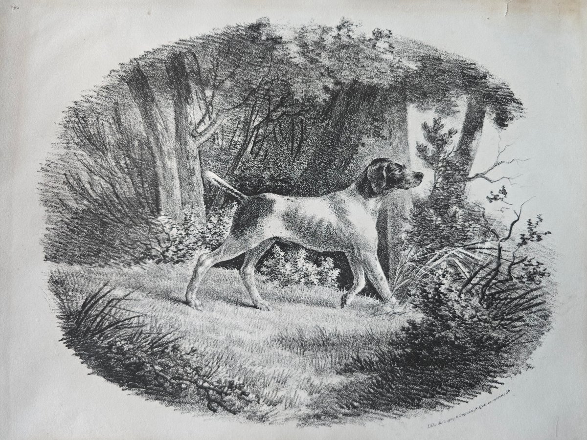 French School, Lithograph, Circa 1820, Hunting Dog, Pointer, Paris, Ligny, Dupaix