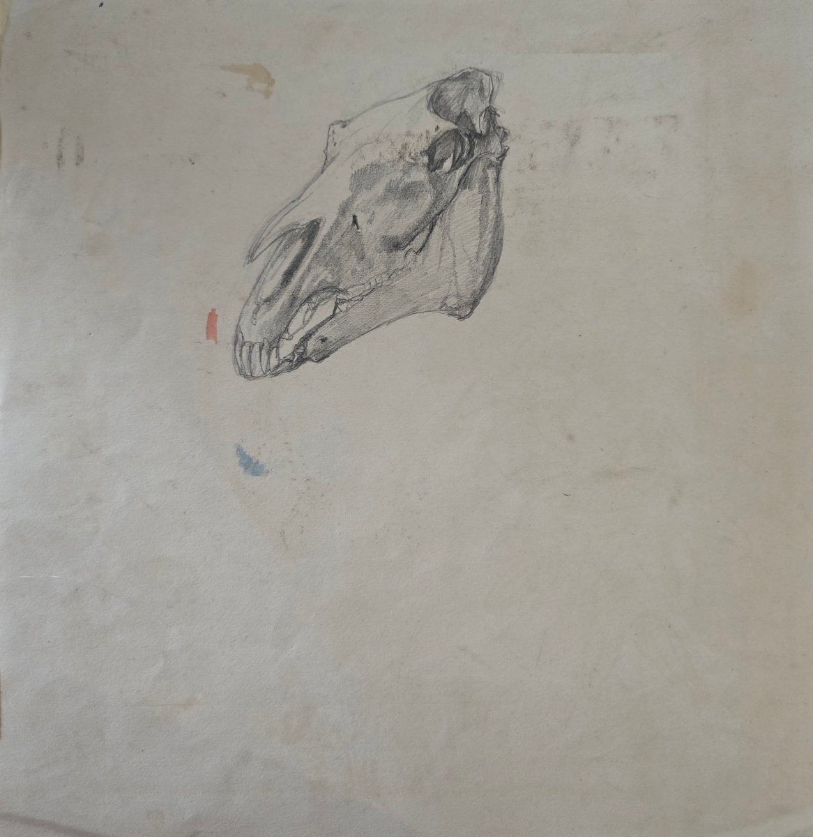 Anonyme - école francaise - 19e siècle - cheval furieux à l'écurie - dlg. Gericault, De Dreux-photo-4