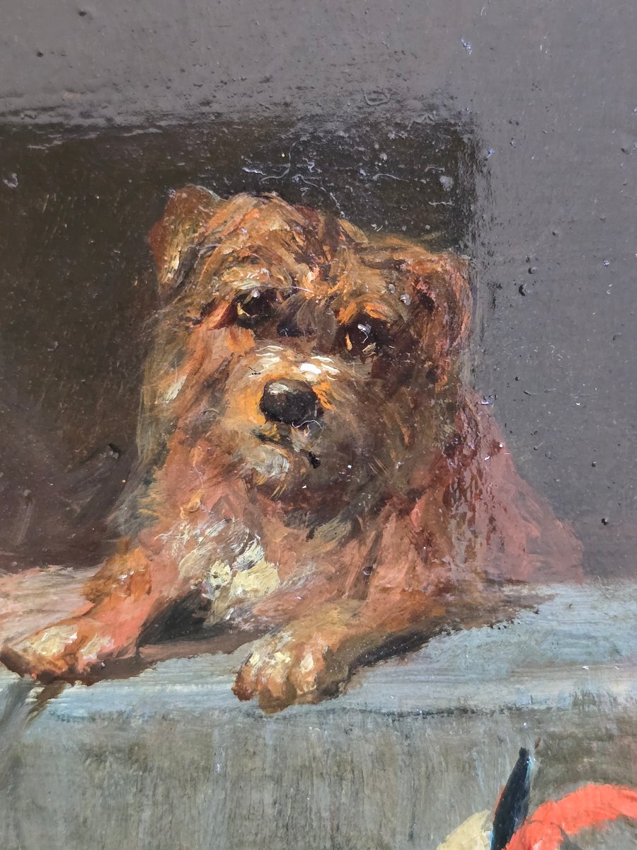 Vincent De Vos (1829–1875) — Musical Dogs — Violin — Circus — Troubadour Costumes-photo-2