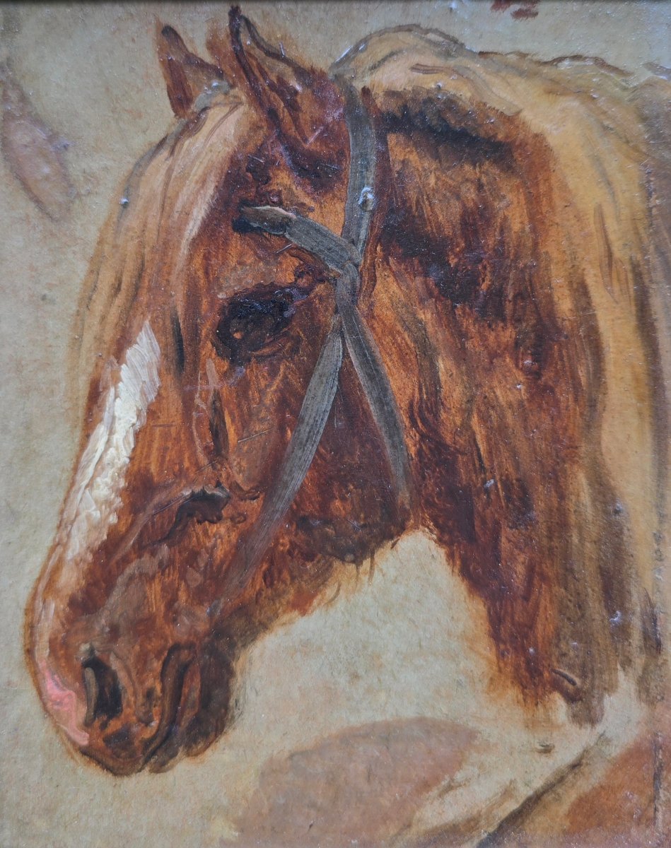 Anonyme - école francaise ou belge - 19e - étude de cheval - animalier -  portrait d'Alezan