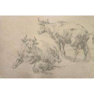 18th Century Drawing - Cows And Goats - Animalist Dutch Watermark School