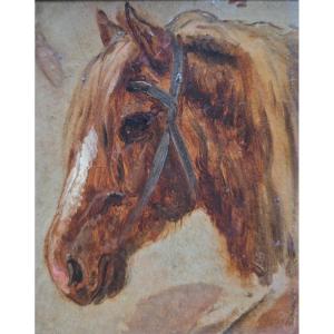 Anonymous—french Or Belgian School—19th Century—horse Study—animal Painting—portrait Of A Chestnut Horse