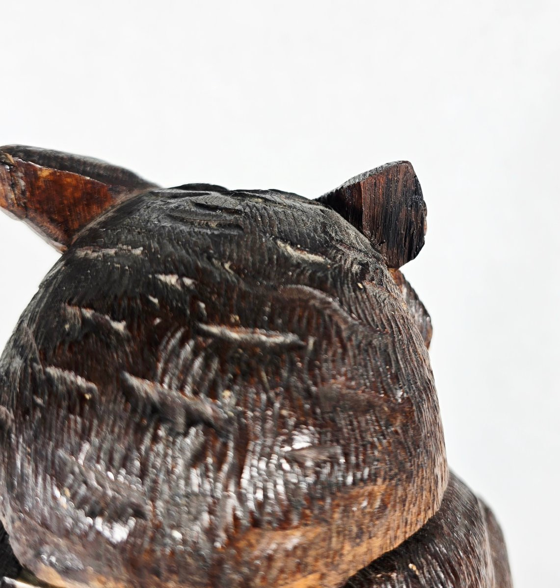 Black Forest Sculpture Box In The Shape Of An Owl 19th Century-photo-5