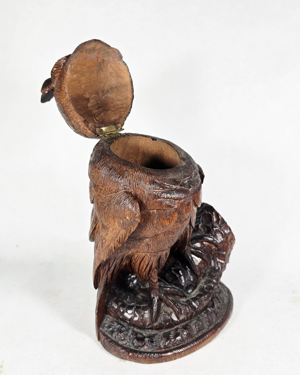 Black Forest Sculpture Box In The Shape Of An Owl 19th Century-photo-6