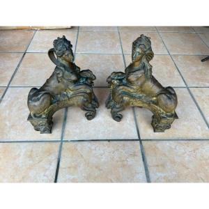 Un magnifique paire de chenets en bronze doré (au mercure), Louis XV