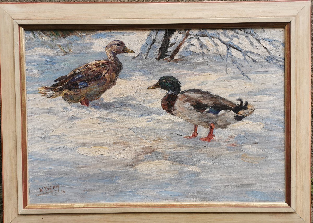 Two Ducks In The Snow 1910 Tiedjen Willy-photo-2