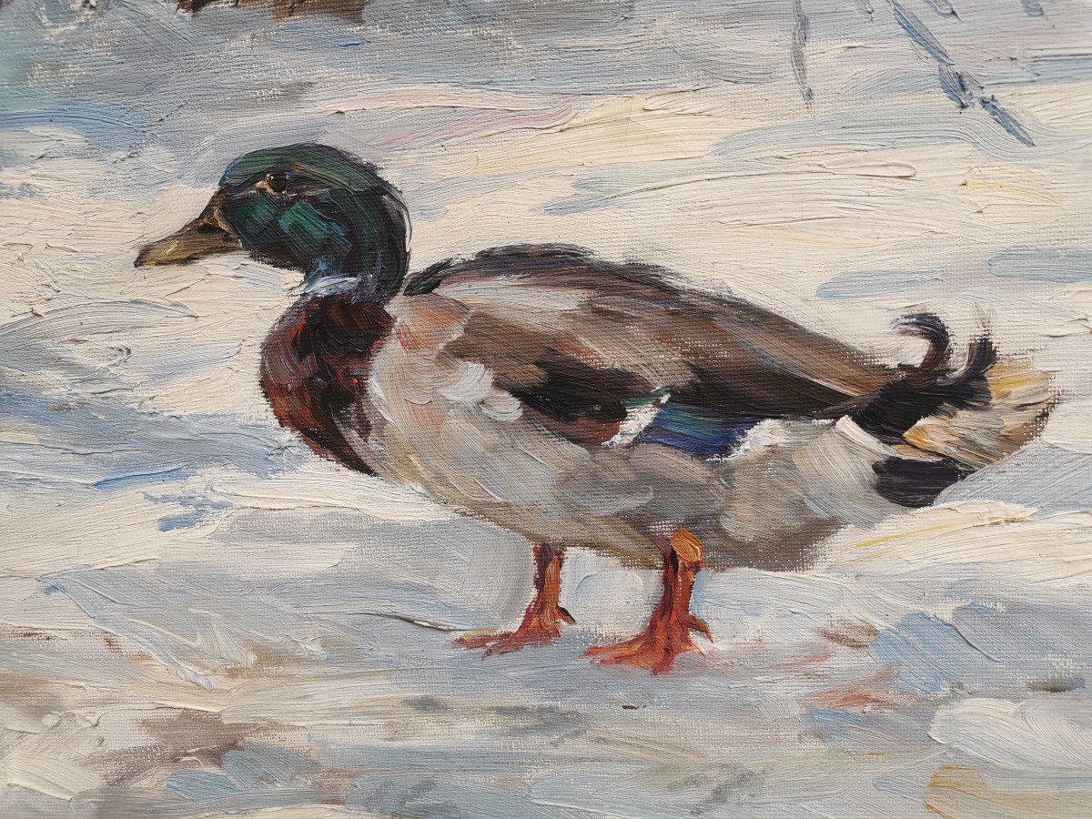 Two Ducks In The Snow 1910 Tiedjen Willy-photo-4