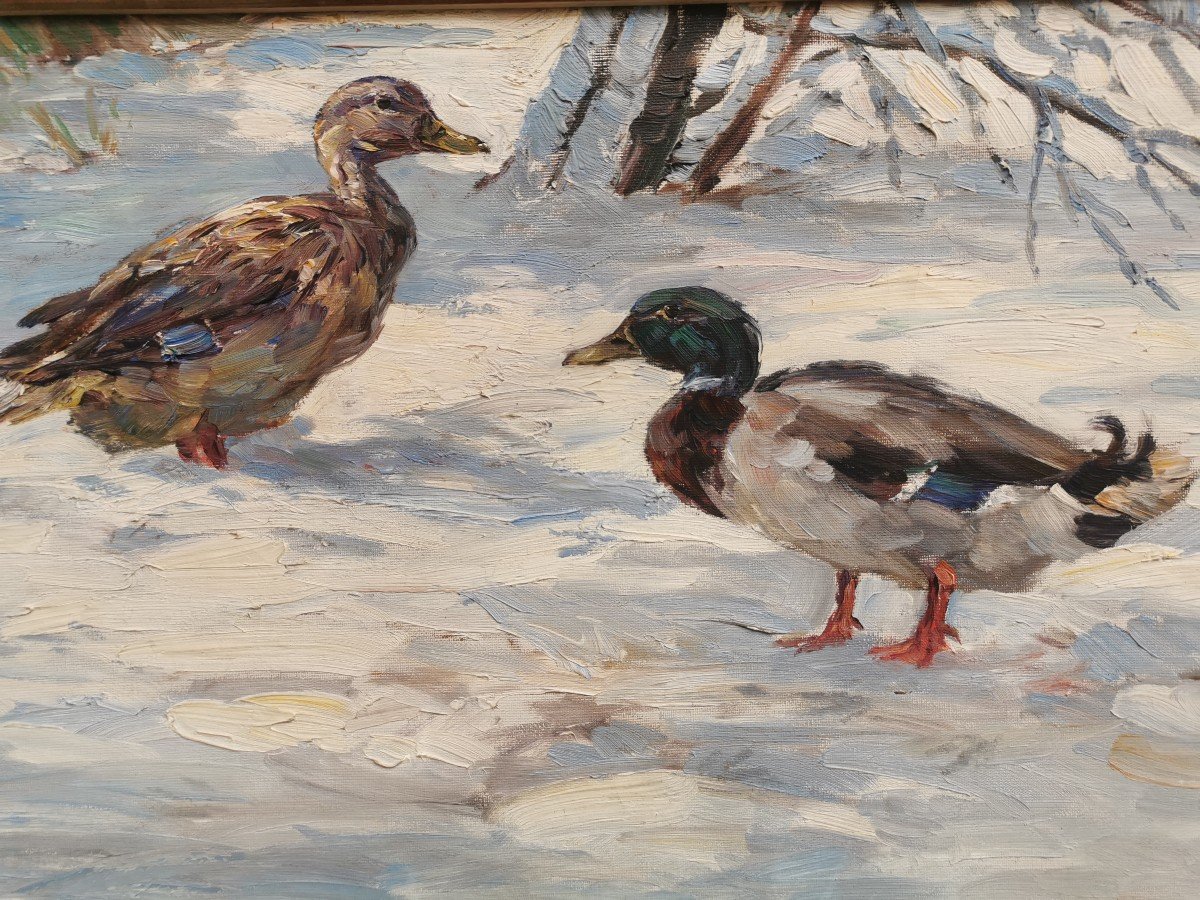 Two Ducks In The Snow 1910 Tiedjen Willy