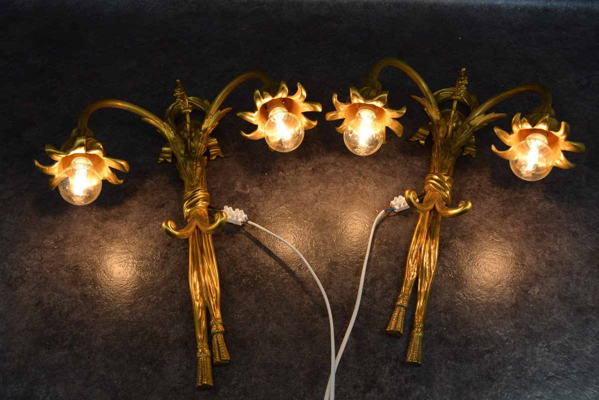 Very Large Pair Of Gilt Bronze Sconces-photo-5