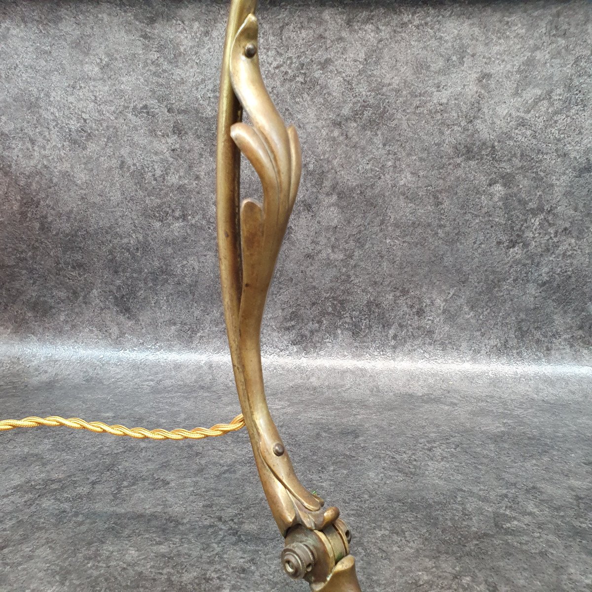 Bronze Lamp And Bindweed Tulip-photo-1