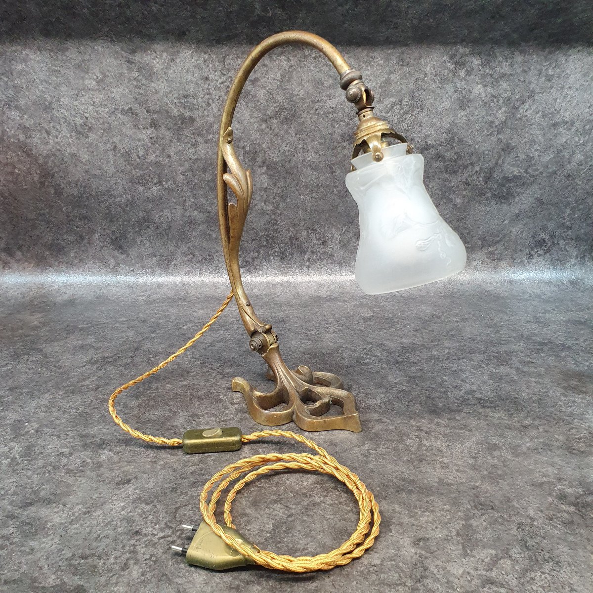 Bronze Lamp And Bindweed Tulip-photo-6