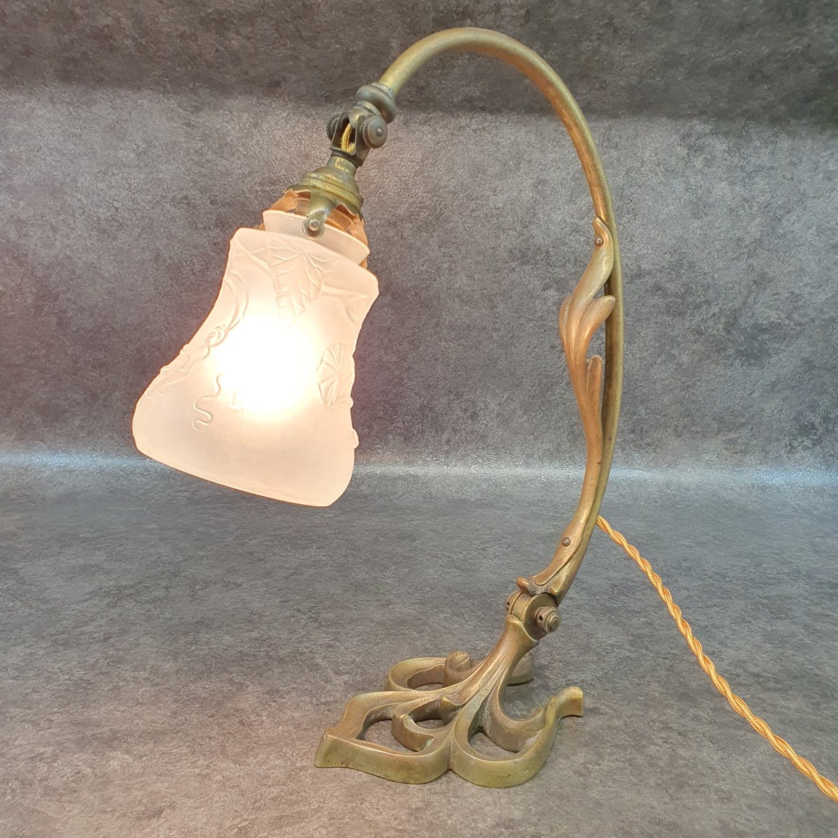 Bronze Lamp And Bindweed Tulip-photo-7