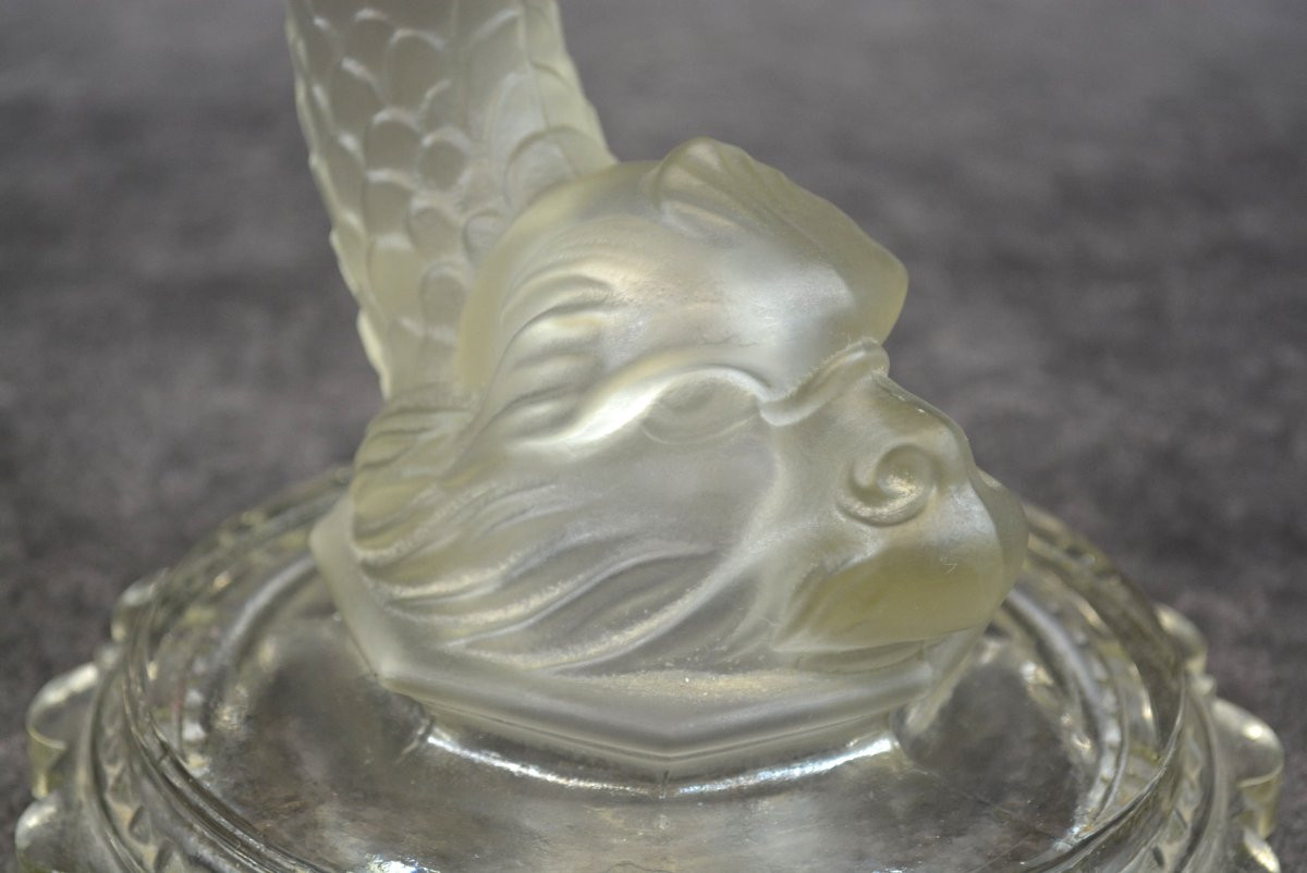 Coupe A Fruit Dauphin-photo-4