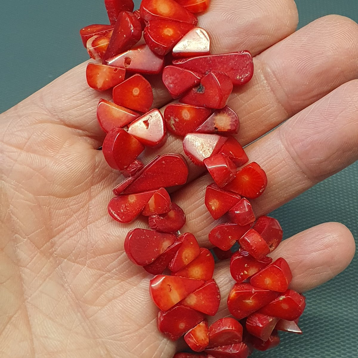 collier corail rouge-photo-8