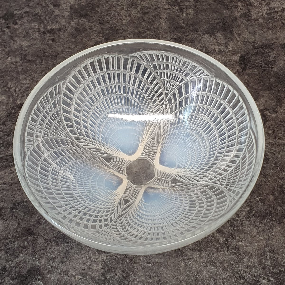 Shell Bowl By R.lalique 1924-photo-3