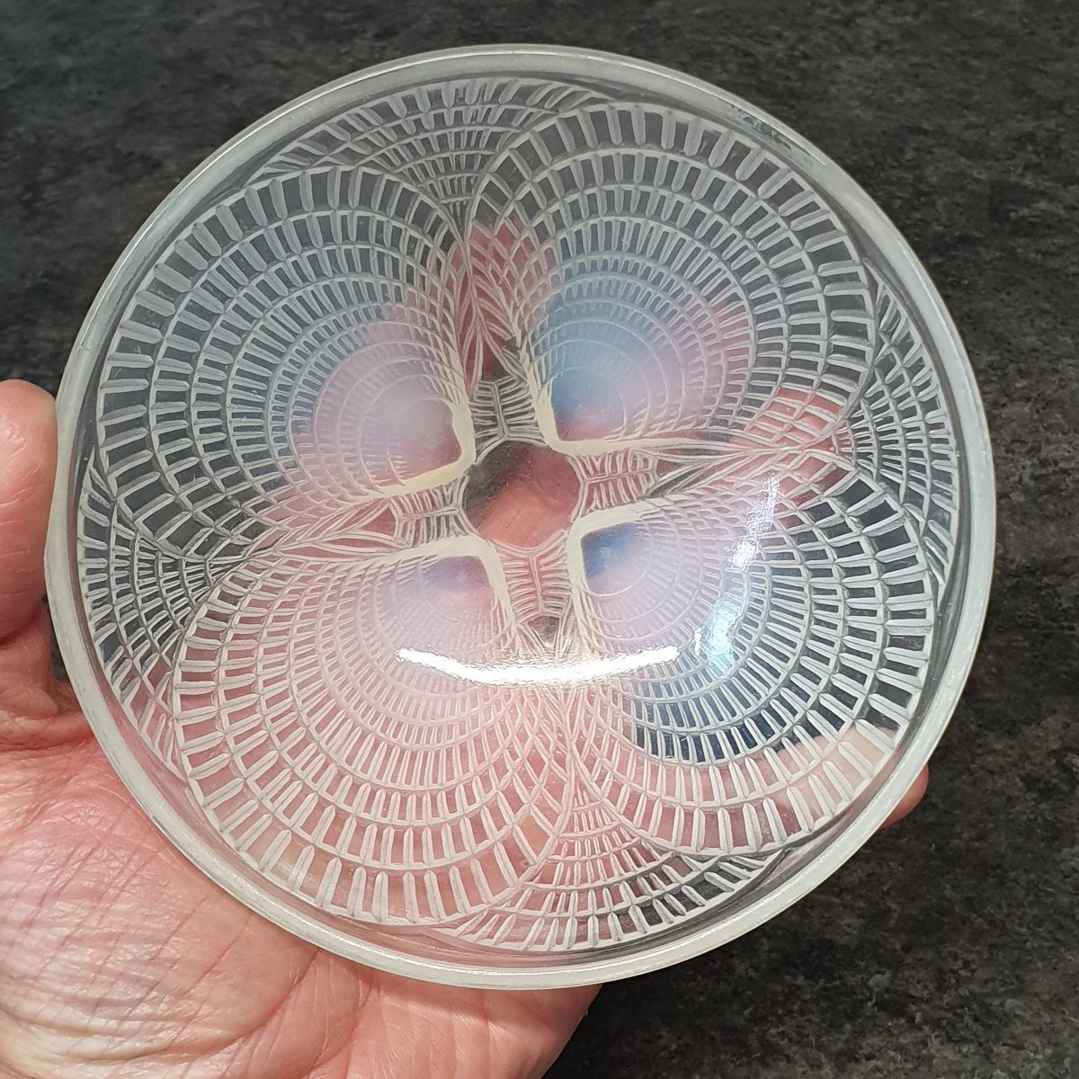 Shell Bowl By R.lalique 1924-photo-5