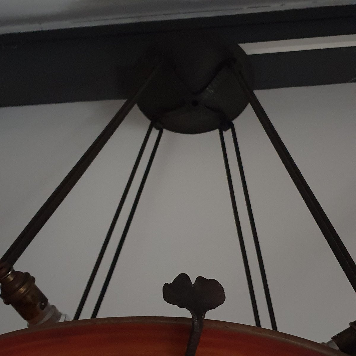 Daum Chandelier-photo-5