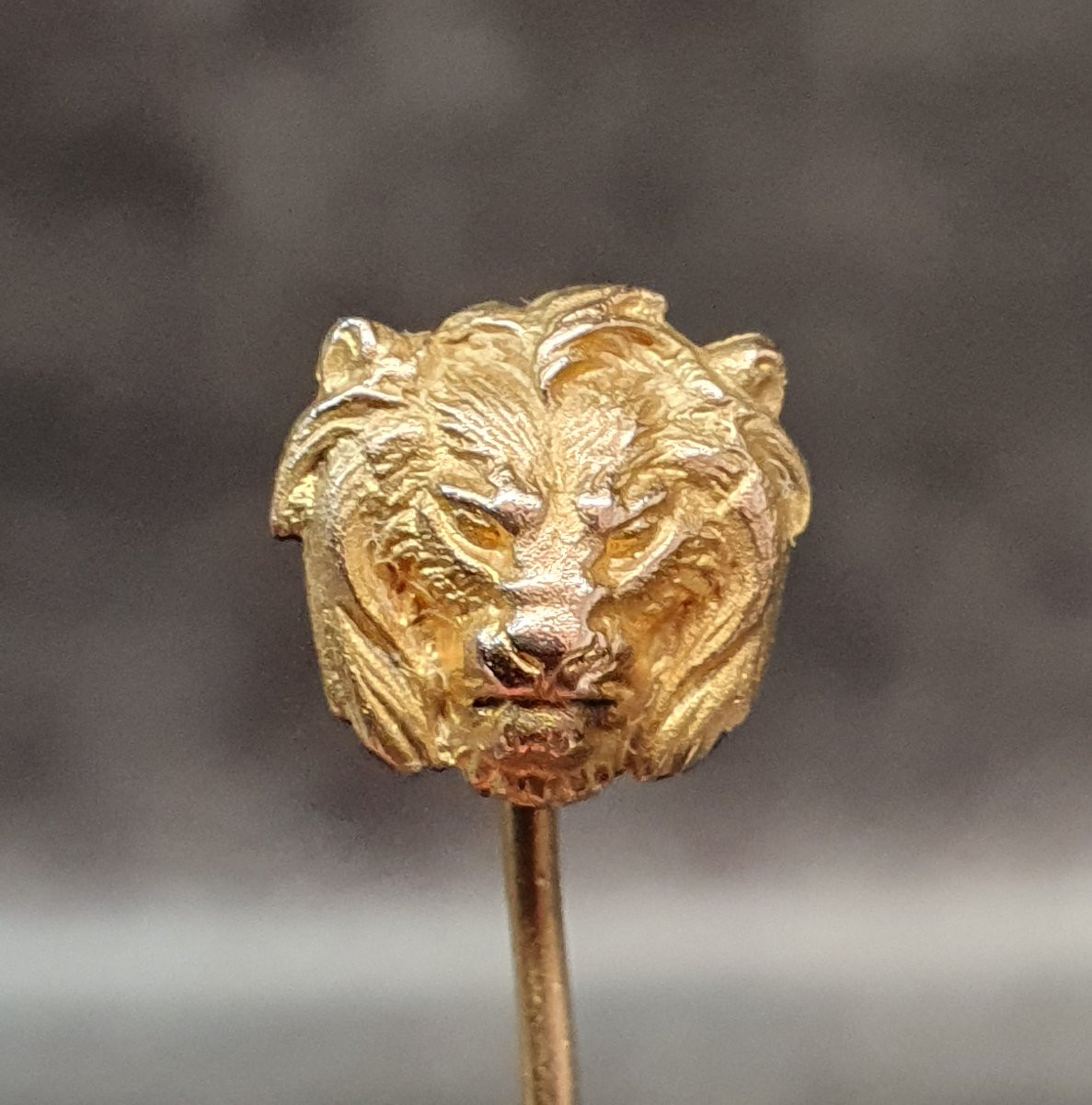 Epingle à chapeau tête de lion-photo-3