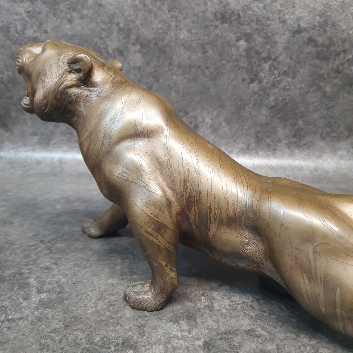 Tigre rugissant en Bronze - Japon époque MEIJI-photo-5