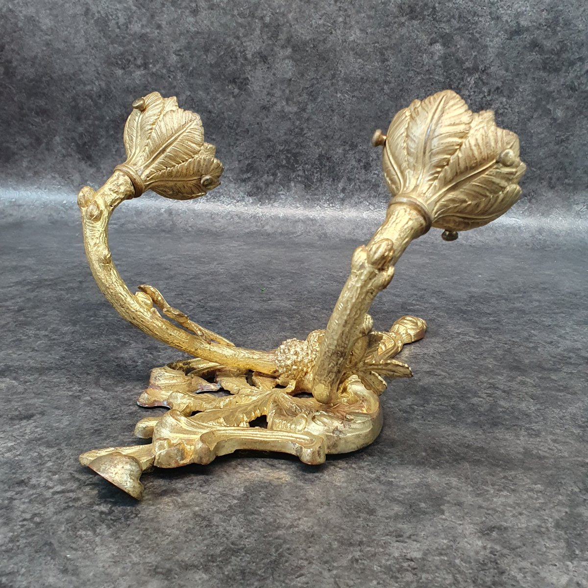 Applique En Bronze Doré Art Nouveau-photo-4